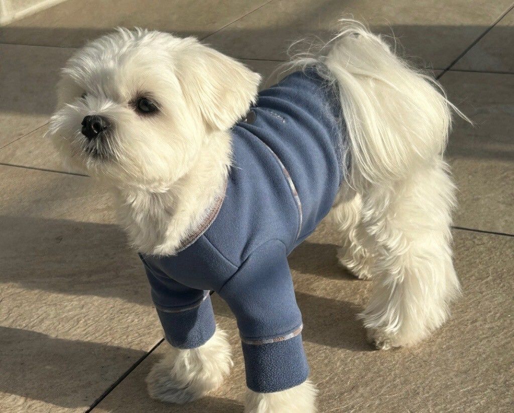 LINE_ALBUM_20251114_251116_59