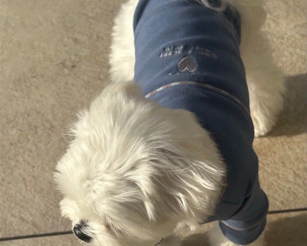 LINE_ALBUM_20251114_251116_56