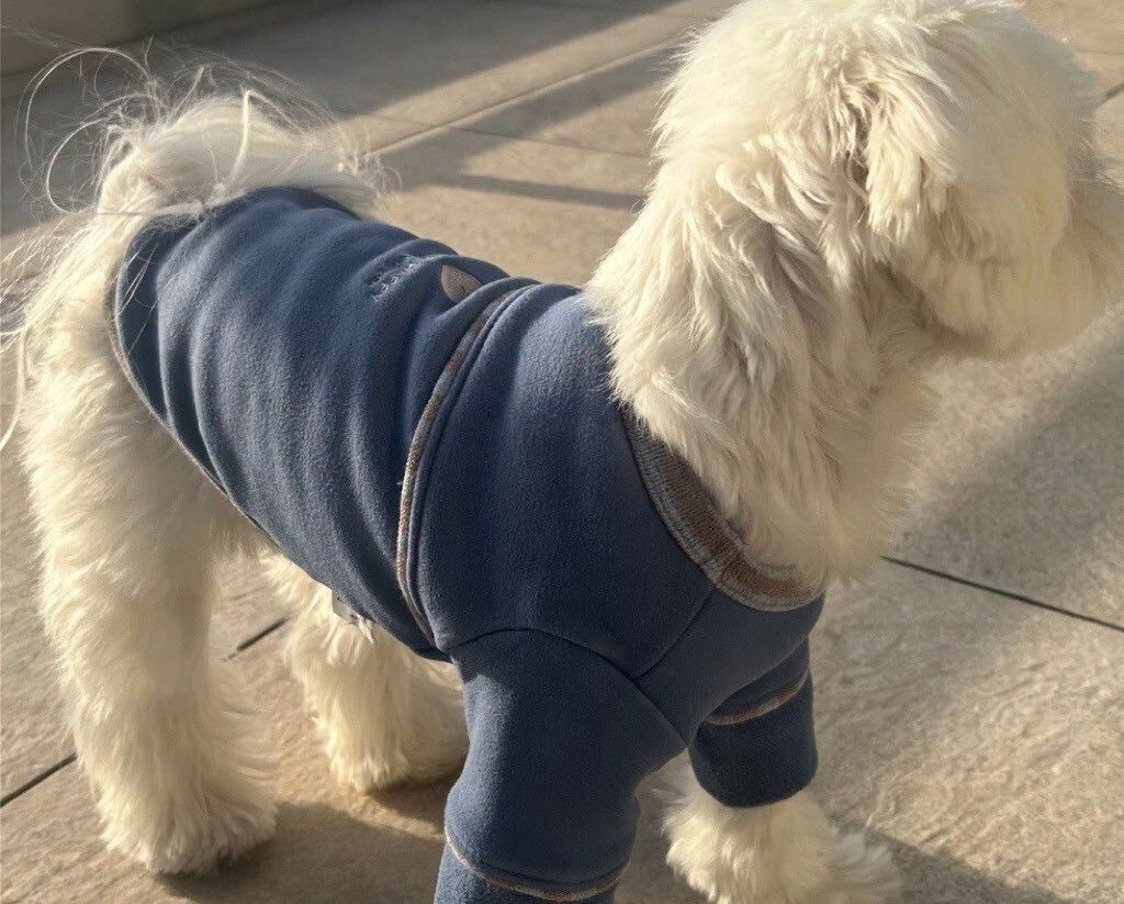 LINE_ALBUM_20251114_251116_57