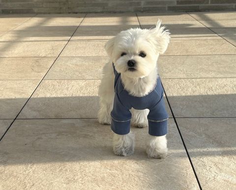 LINE_ALBUM_20251114_251116_55