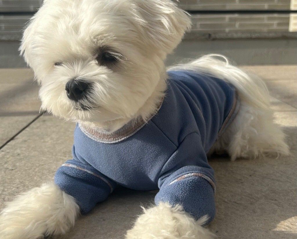 LINE_ALBUM_20251114_251116_58