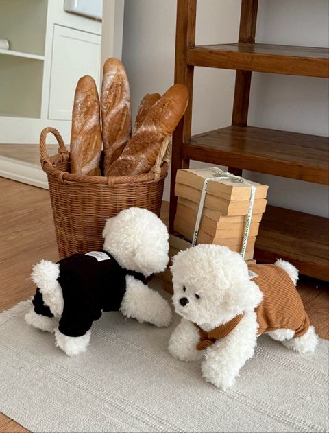 LINE_ALBUM_20251114_251116_5