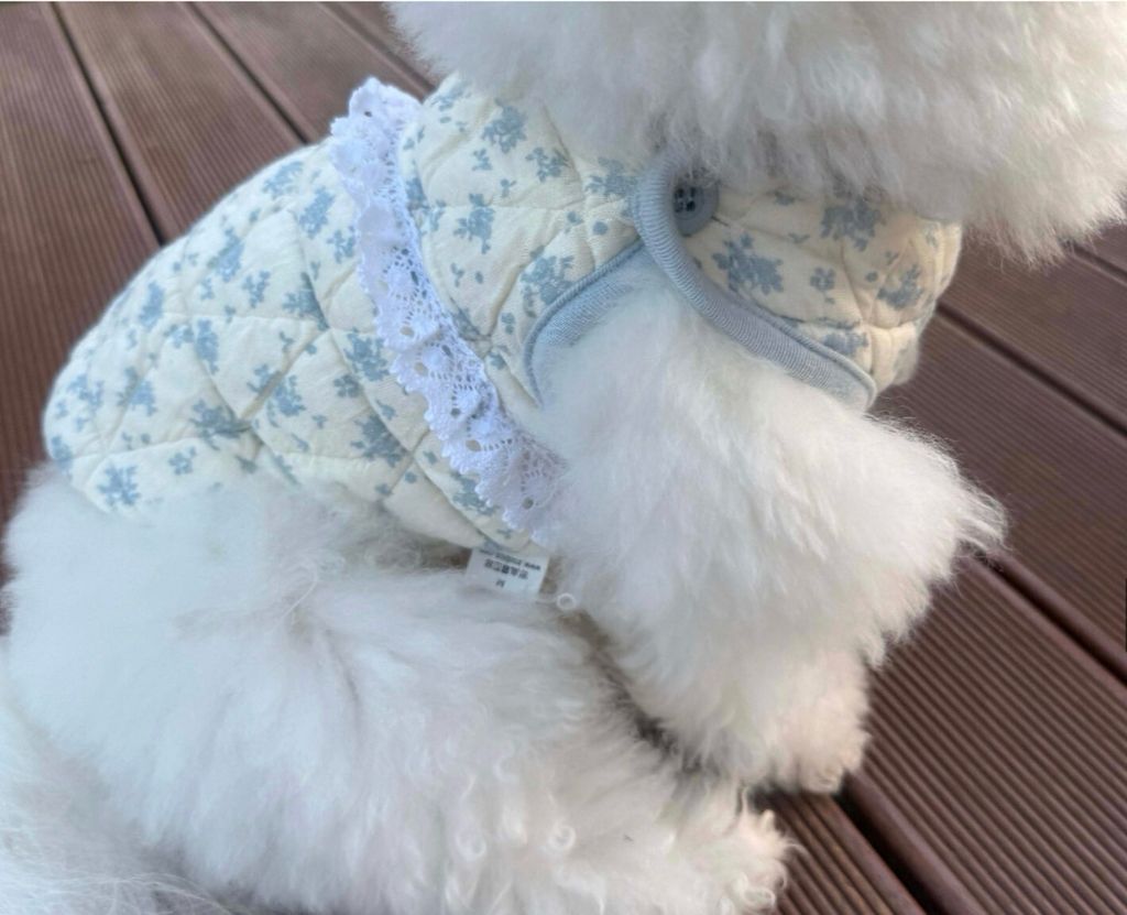 LINE_ALBUM_Zoobico_251118_32