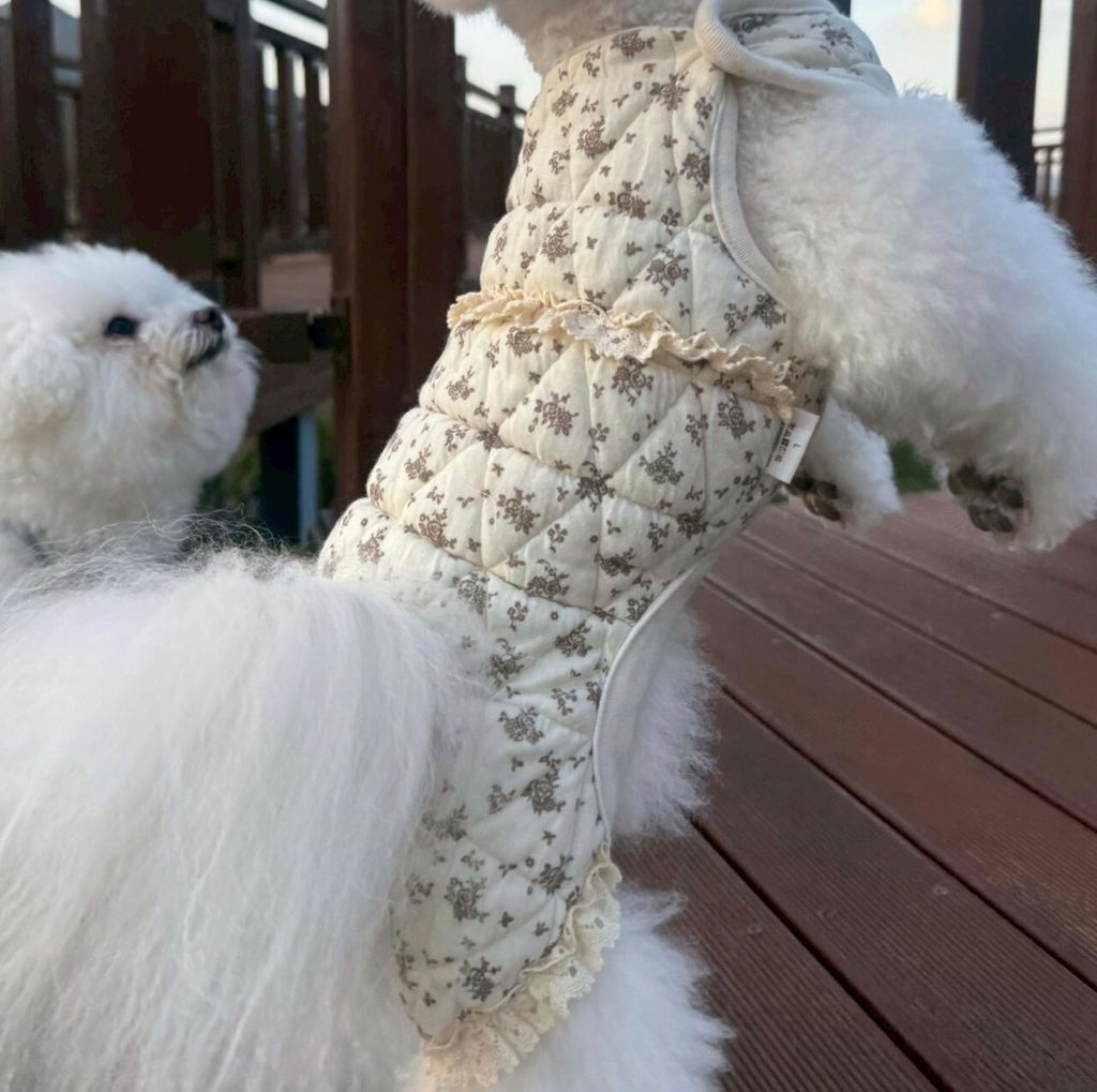 LINE_ALBUM_Zoobico_251118_39