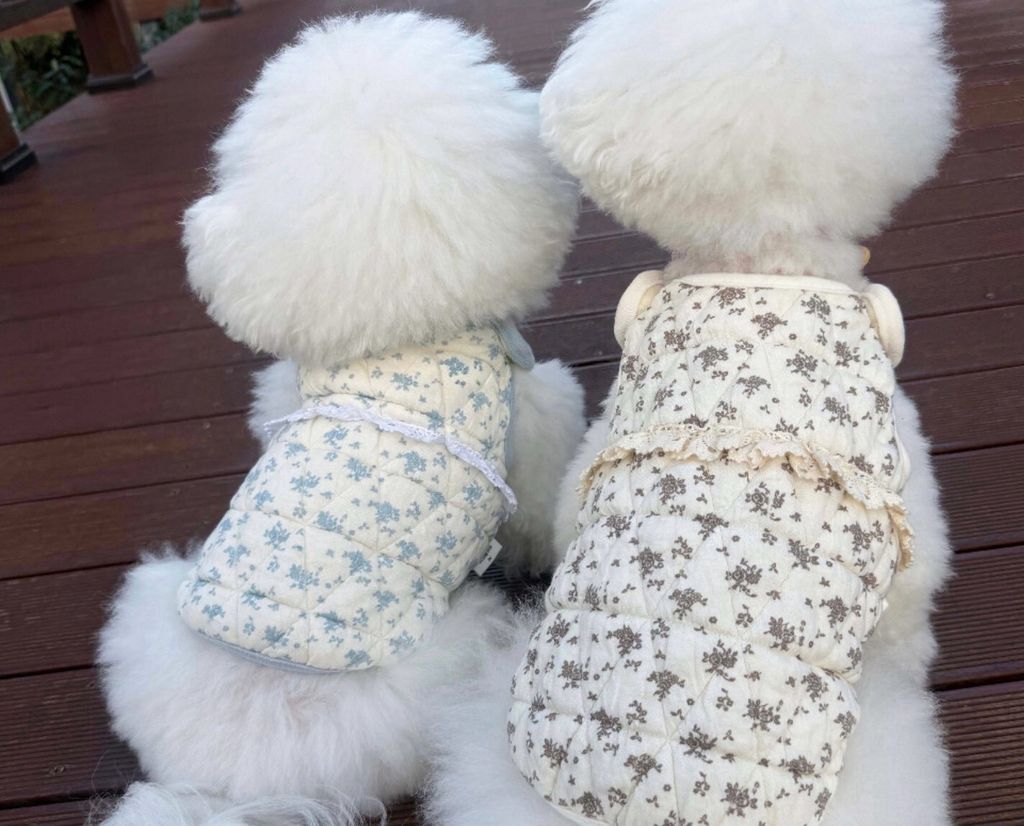 LINE_ALBUM_Zoobico_251118_33