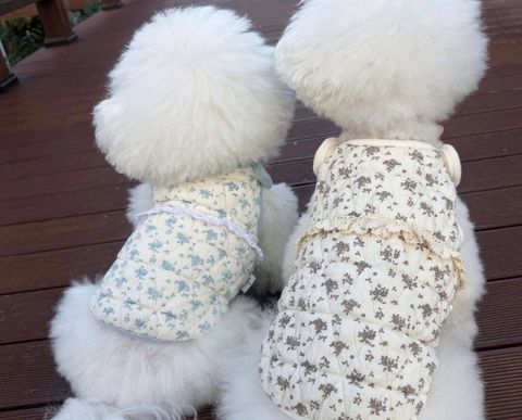 LINE_ALBUM_Zoobico_251118_33