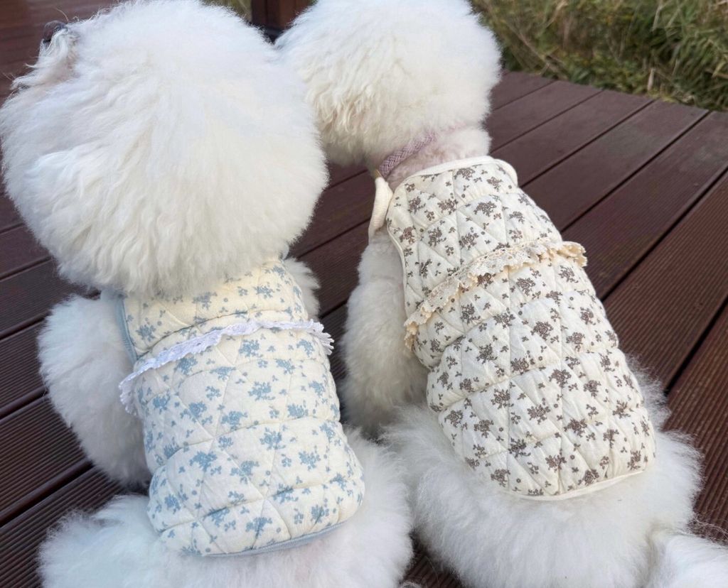 LINE_ALBUM_Zoobico_251118_30