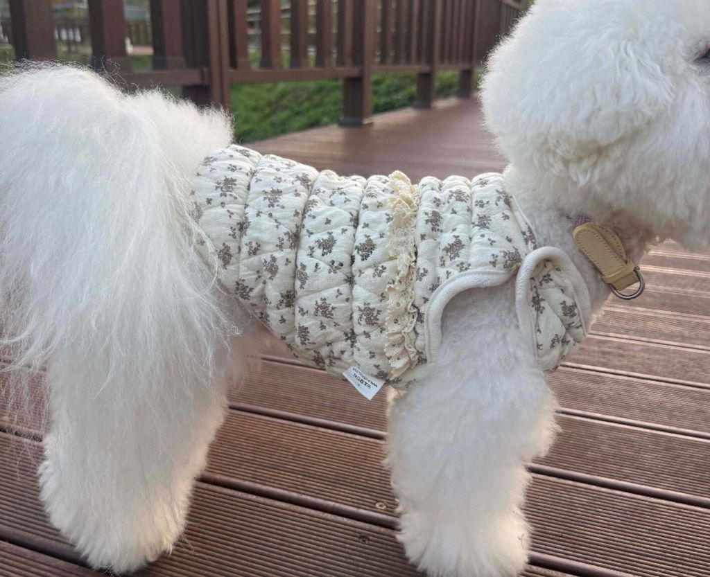 LINE_ALBUM_Zoobico_251118_31