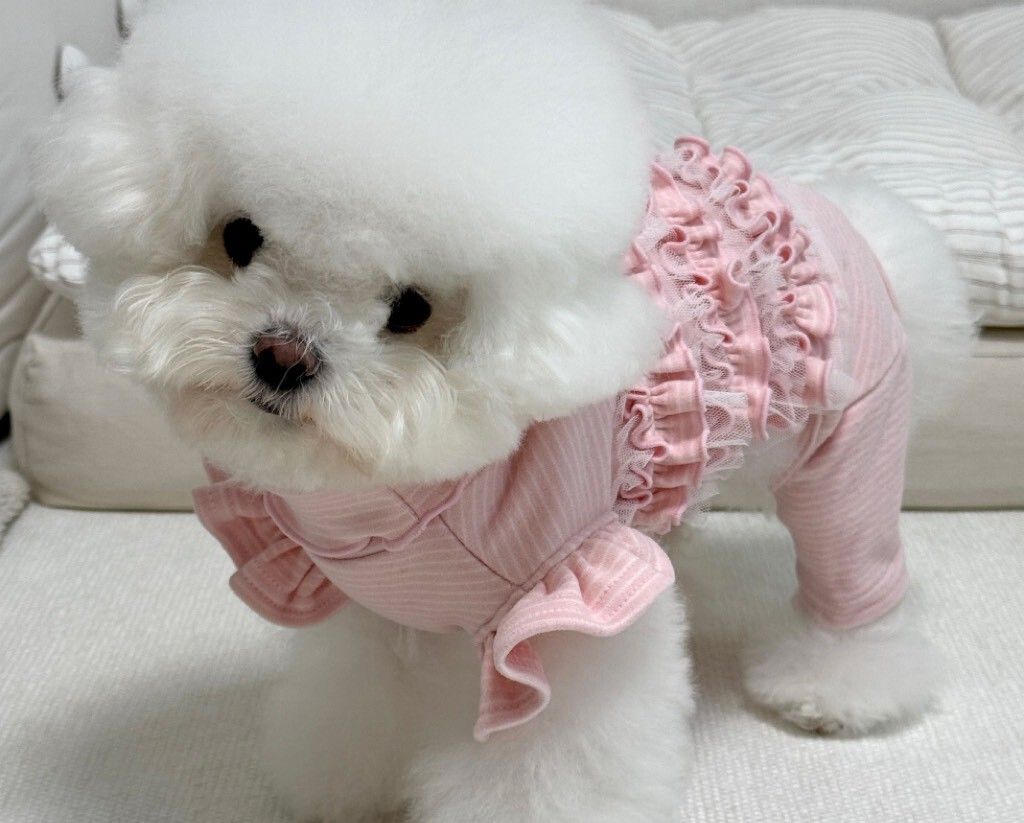 LINE_ALBUM_Zoobico_251118_4