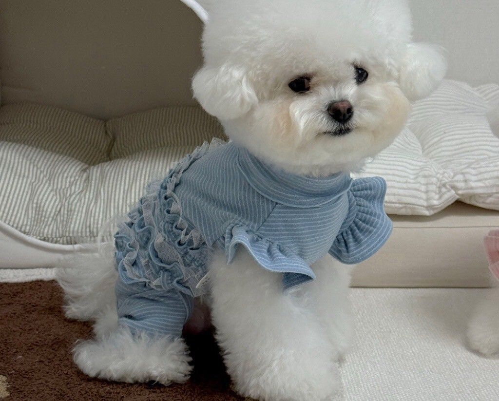 LINE_ALBUM_Zoobico_251118_3