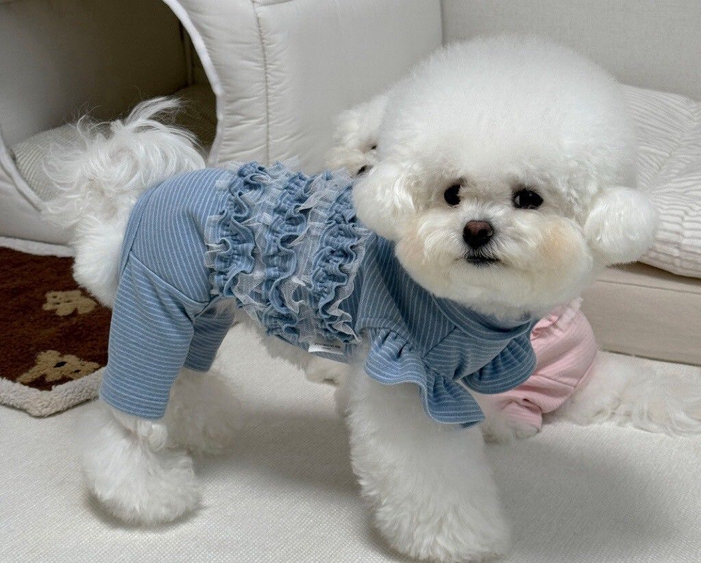 LINE_ALBUM_Zoobico_251118_5