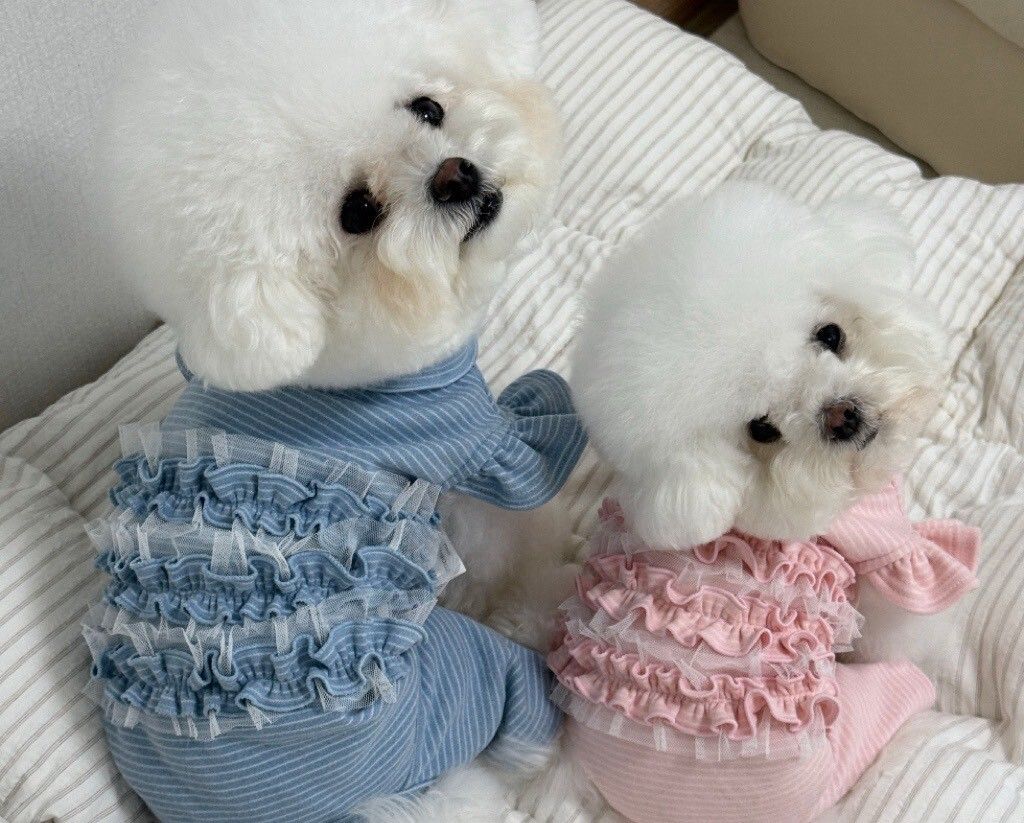 LINE_ALBUM_Zoobico_251118_6