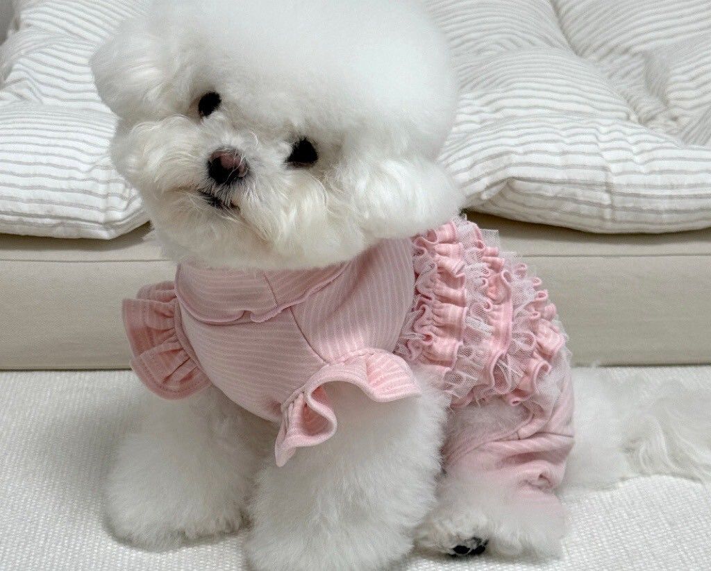 LINE_ALBUM_Zoobico_251118_2