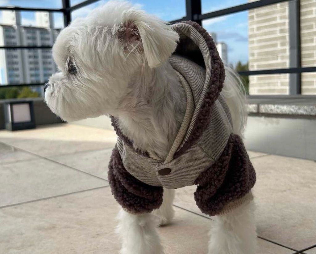 LINE_ALBUM_Doggyholic 3_251118_261