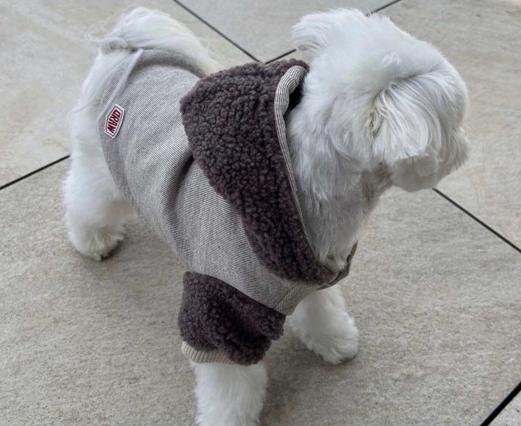 LINE_ALBUM_Doggyholic 3_251118_262