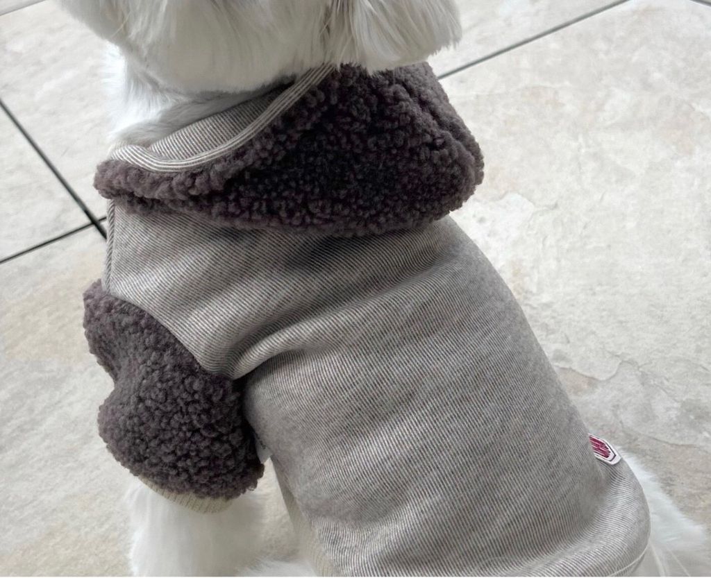 LINE_ALBUM_Doggyholic 3_251118_263