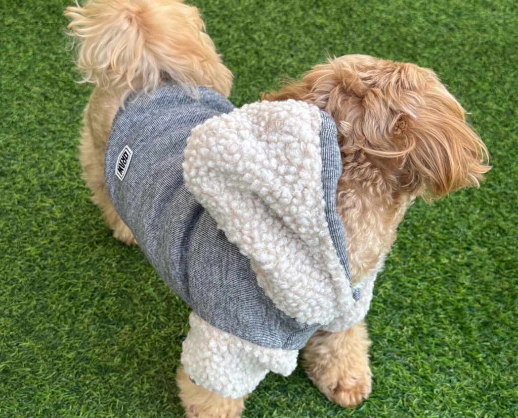 LINE_ALBUM_Doggyholic 3_251118_257