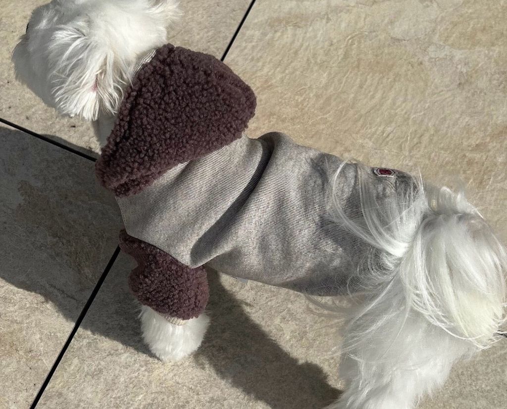 LINE_ALBUM_Doggyholic 3_251118_259