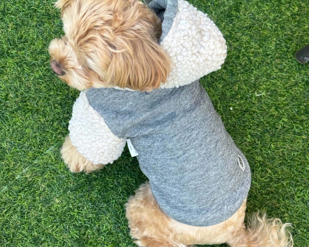 LINE_ALBUM_Doggyholic 3_251118_251