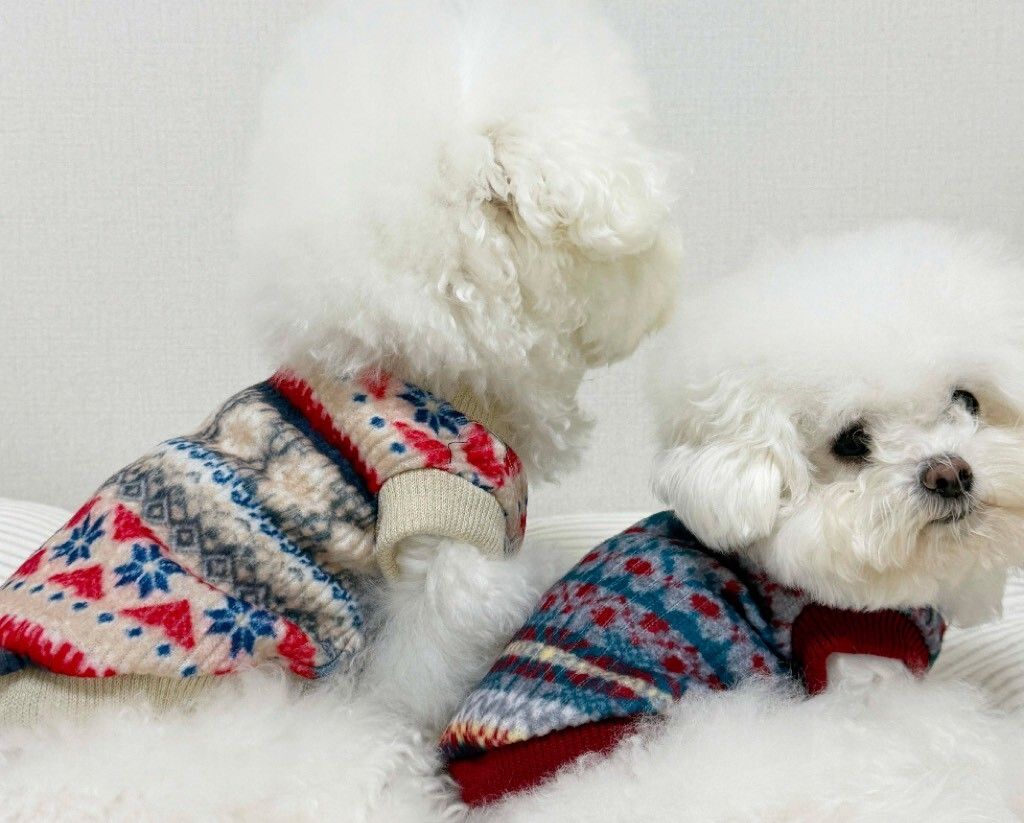 LINE_ALBUM_Doggyholic 3_251118_236