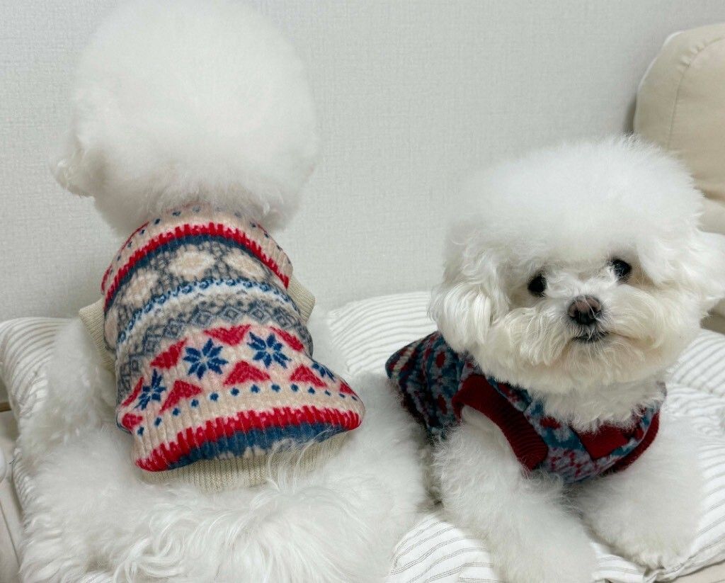 LINE_ALBUM_Doggyholic 3_251118_232