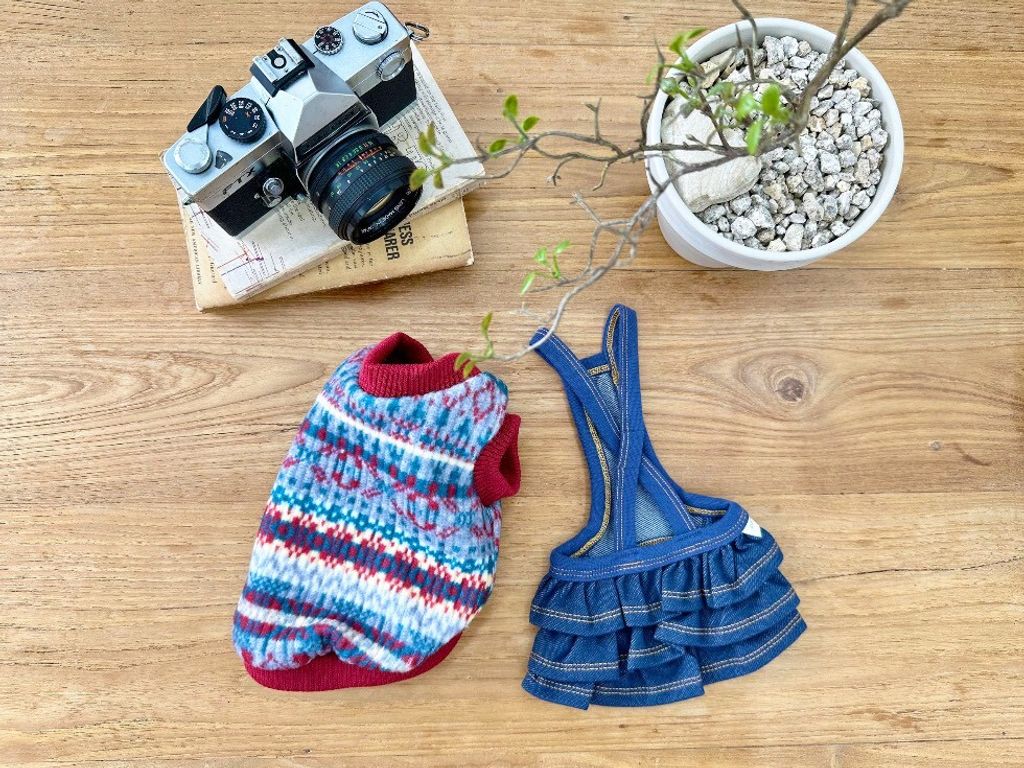 LINE_ALBUM_Doggyholic 3_251118_240