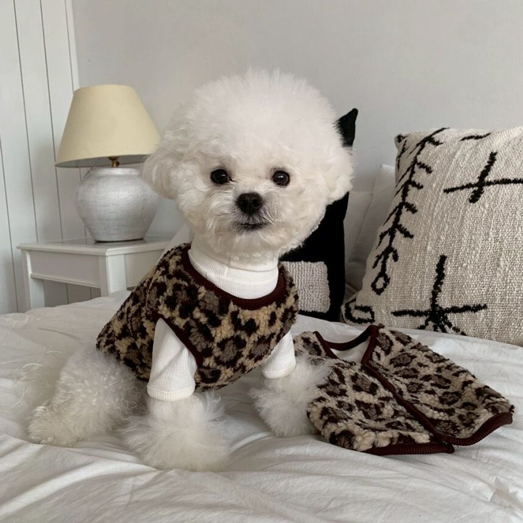 LINE_ALBUM_Doggyholic 3_251118_3