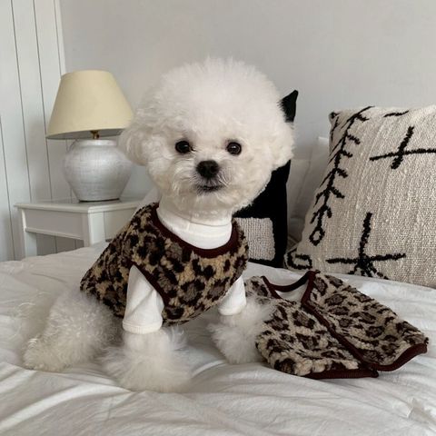 LINE_ALBUM_Doggyholic 3_251118_3