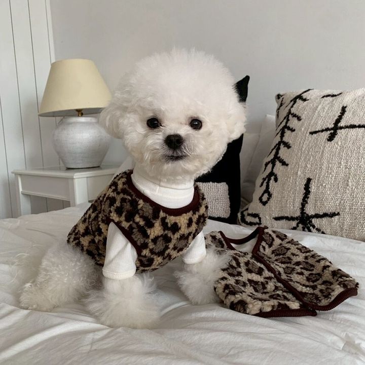 LINE_ALBUM_Doggyholic 3_251118_3