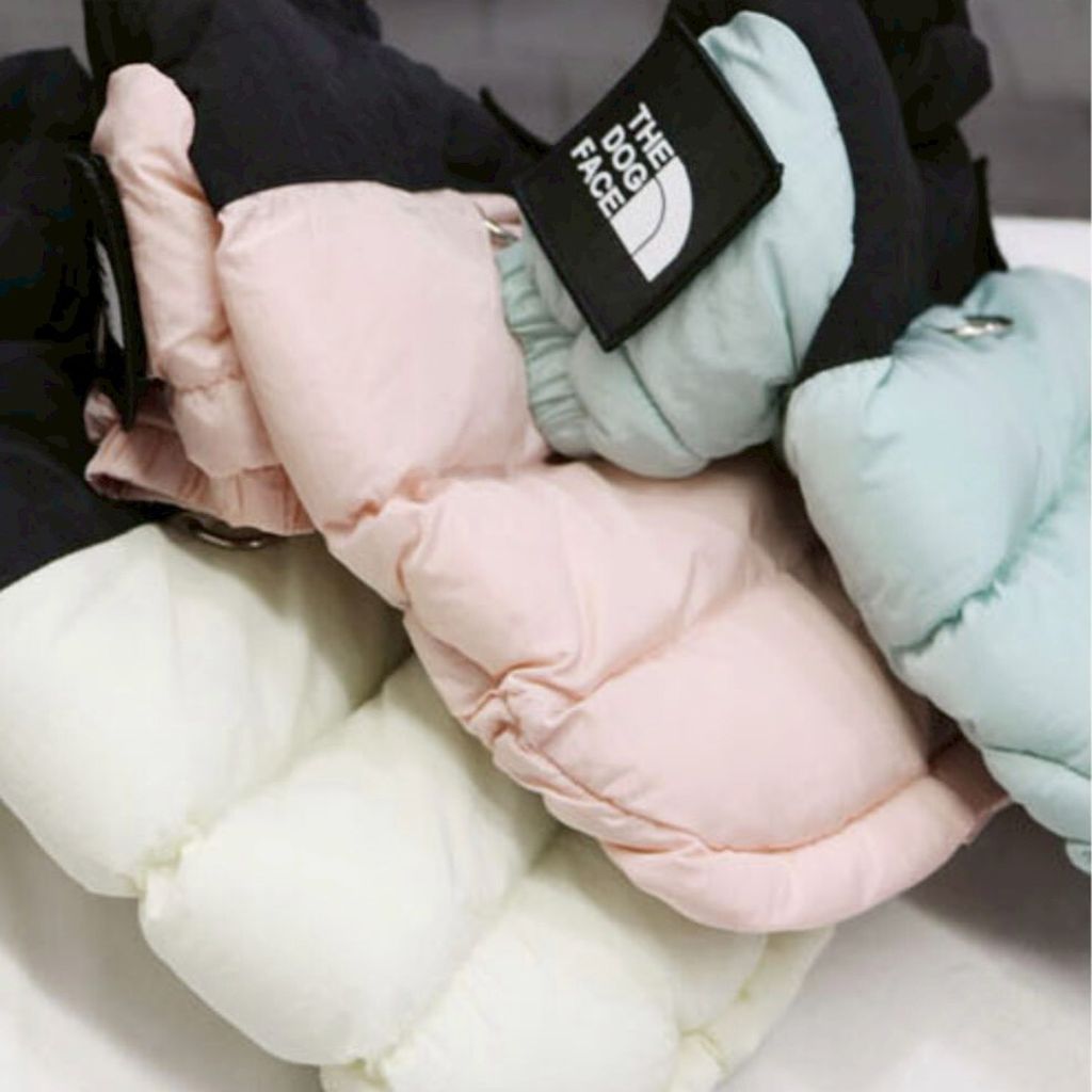 LINE_ALBUM_Doggyholic 3_251118_5