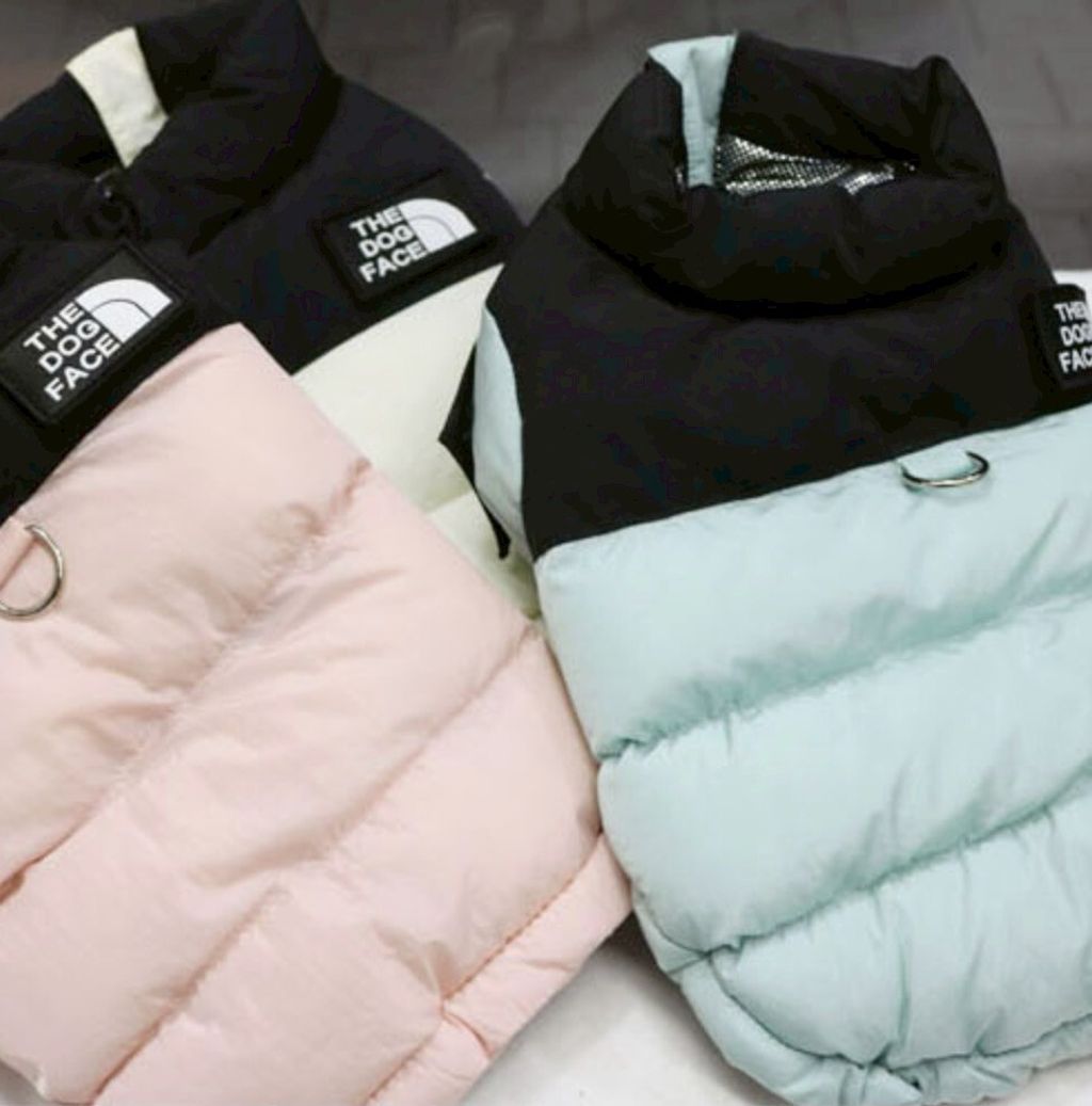 LINE_ALBUM_Doggyholic 3_251118_4