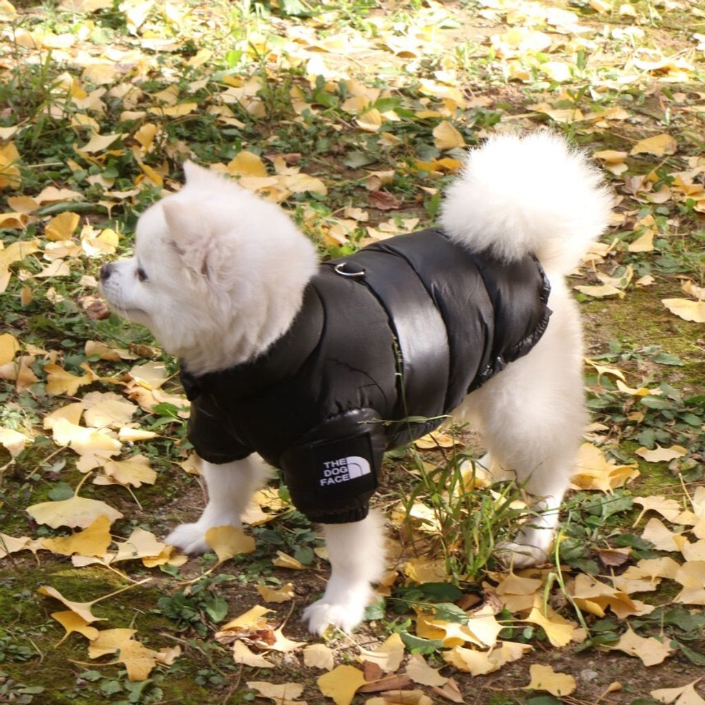 LINE_ALBUM_Doggyholic 3_251118_24
