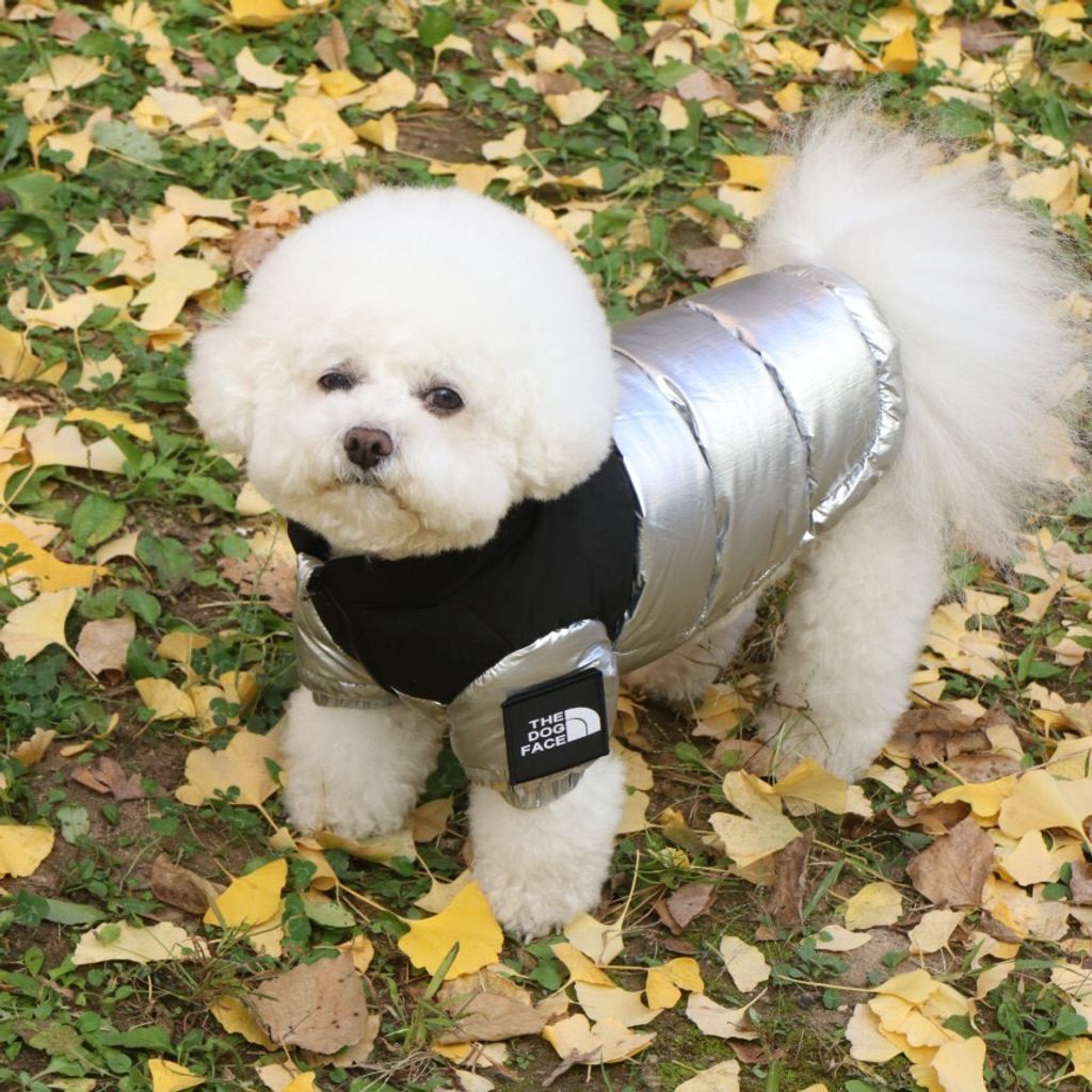 LINE_ALBUM_Doggyholic 3_251118_20