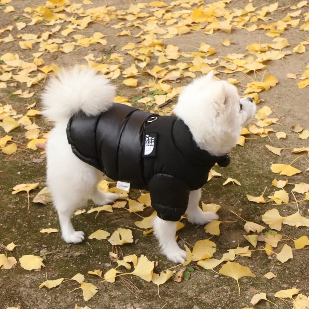 LINE_ALBUM_Doggyholic 3_251118_23