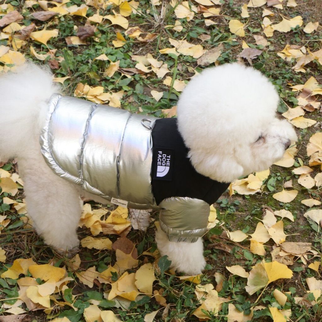 LINE_ALBUM_Doggyholic 3_251118_15