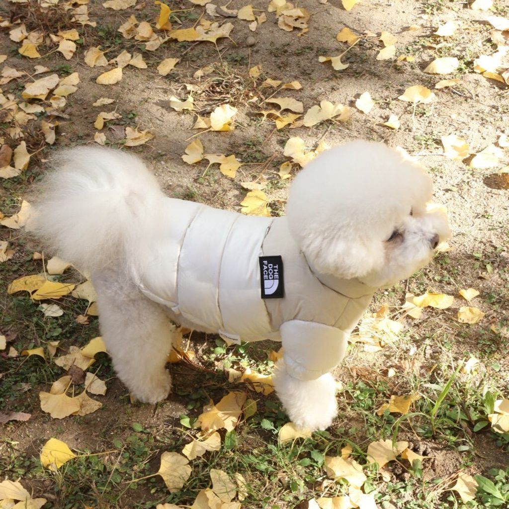 LINE_ALBUM_Doggyholic 3_251118_17