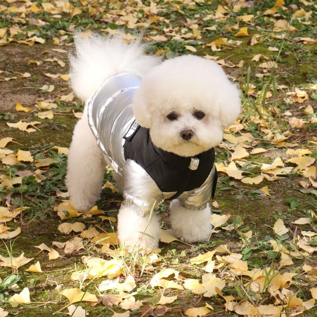 LINE_ALBUM_Doggyholic 3_251118_18