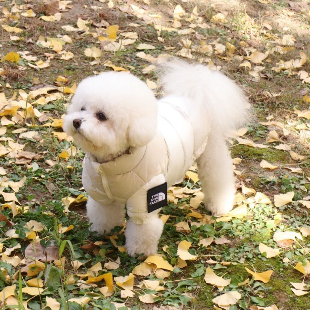 LINE_ALBUM_Doggyholic 3_251118_26