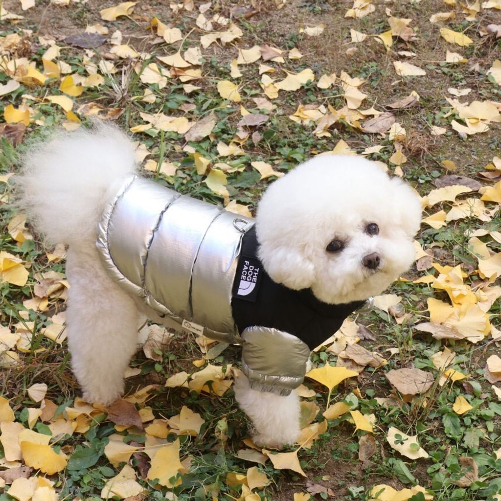 LINE_ALBUM_Doggyholic 3_251118_29