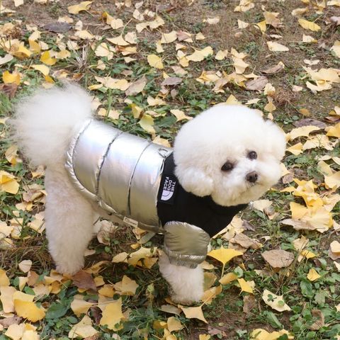 LINE_ALBUM_Doggyholic 3_251118_29