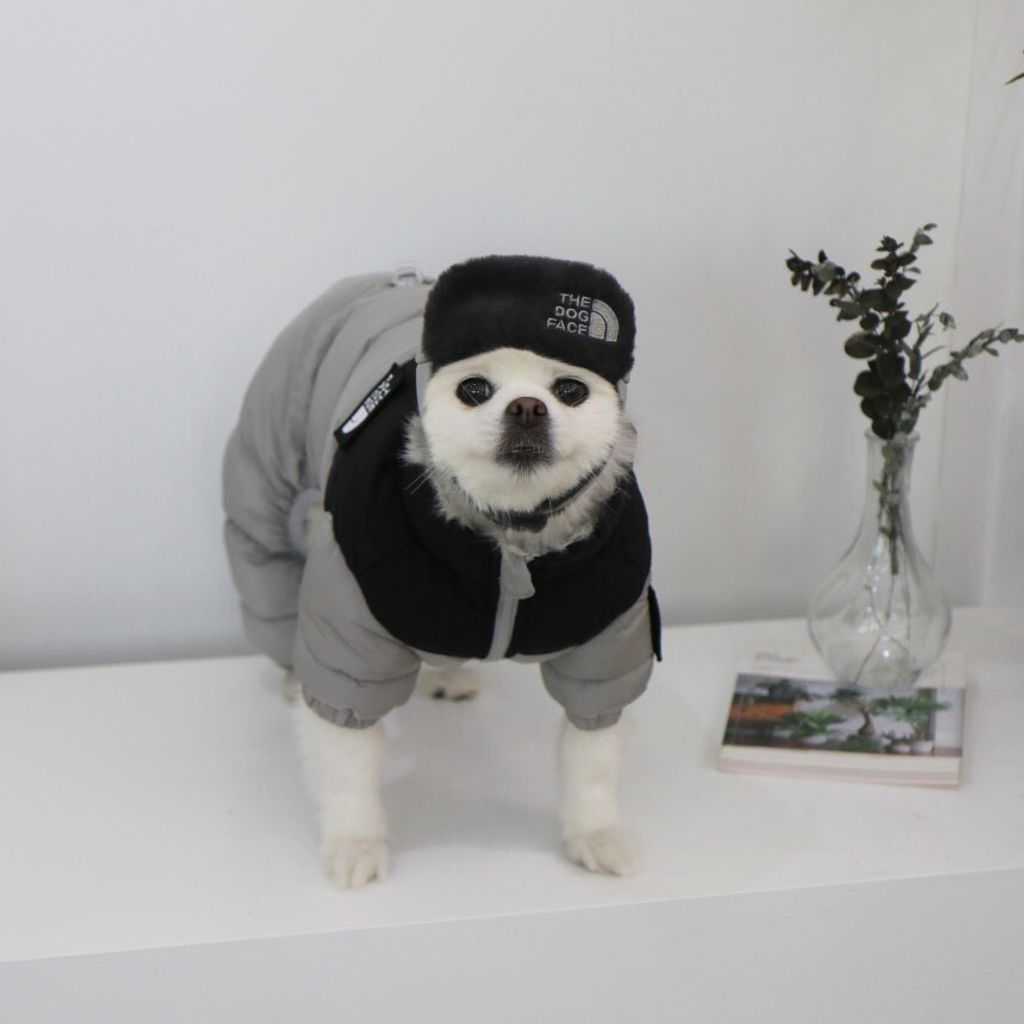 LINE_ALBUM_Doggyholic 3_251118_85