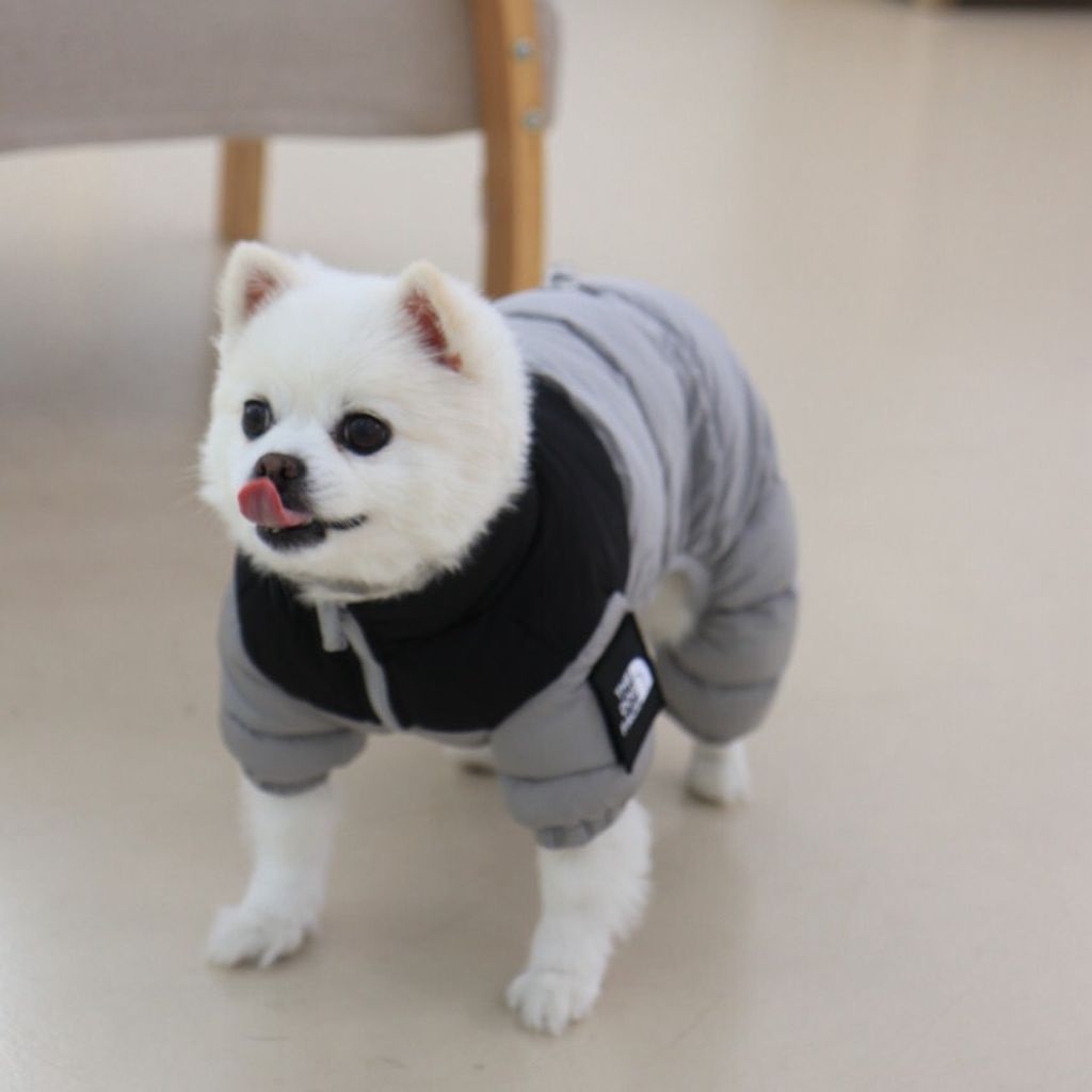 LINE_ALBUM_Doggyholic 3_251118_83