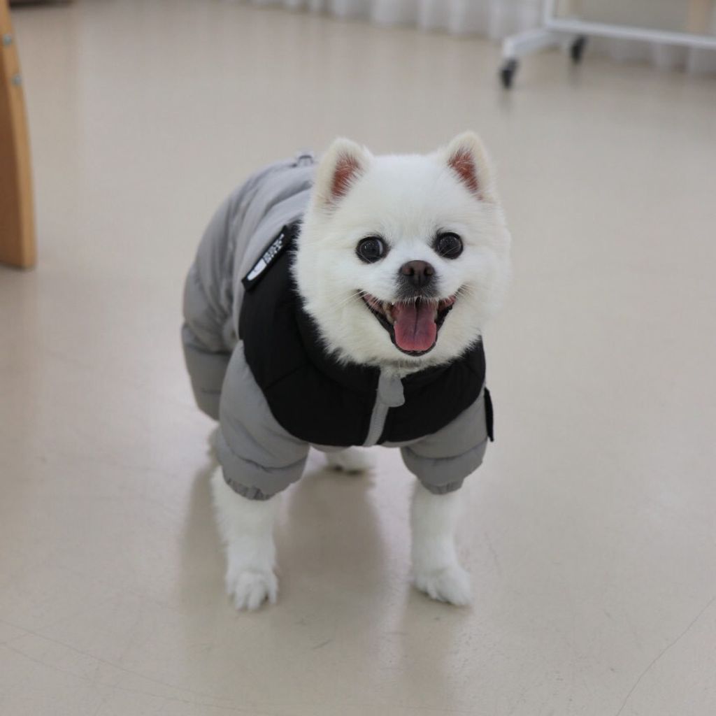 LINE_ALBUM_Doggyholic 3_251118_80