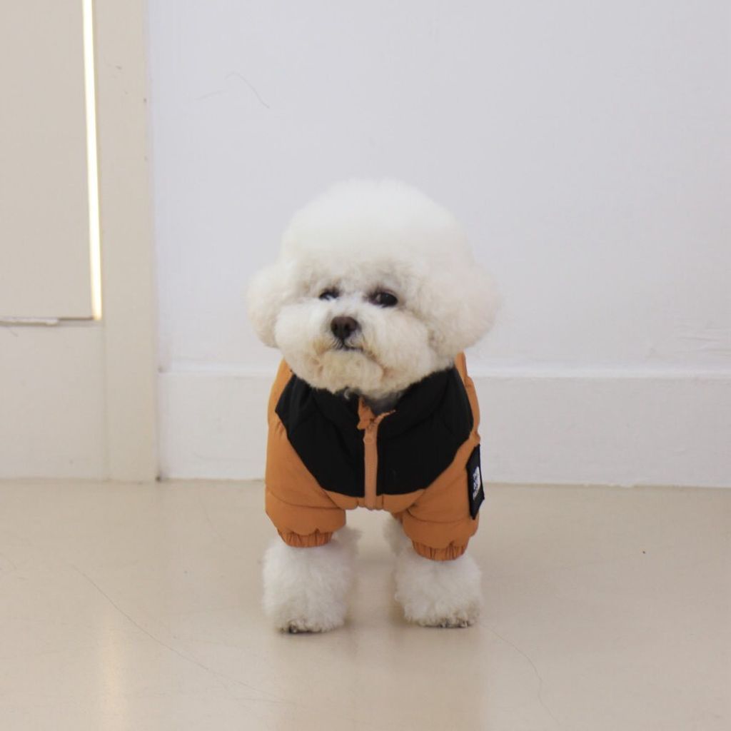 LINE_ALBUM_Doggyholic 3_251118_73