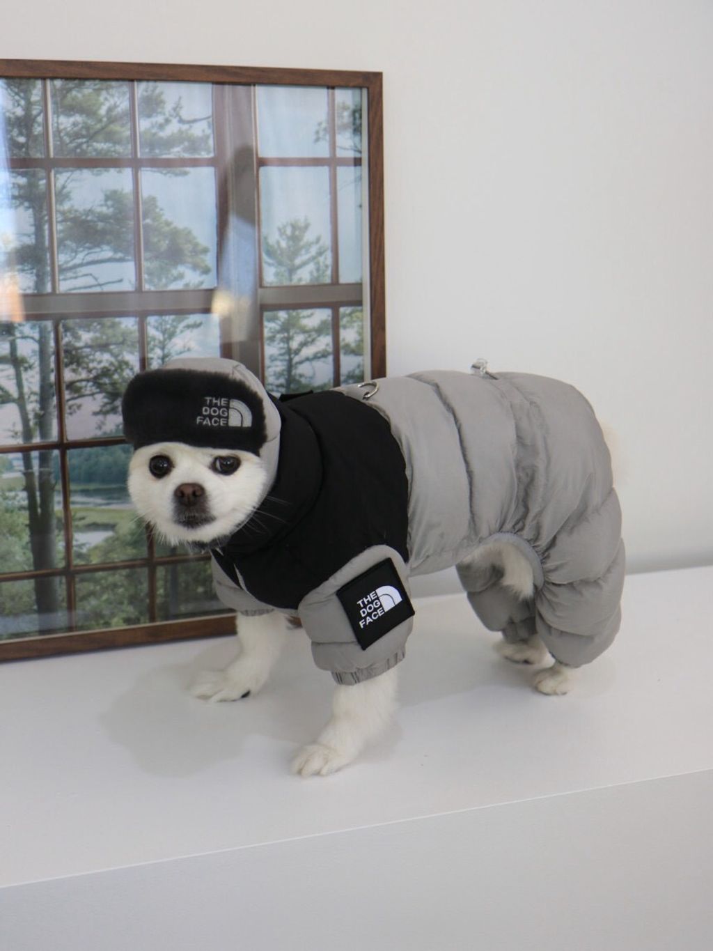 LINE_ALBUM_Doggyholic 3_251118_82