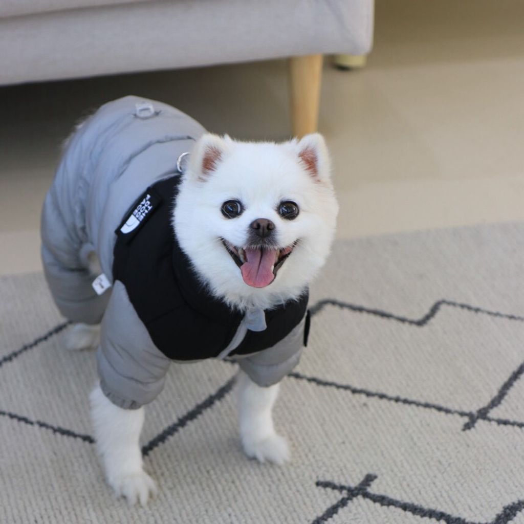 LINE_ALBUM_Doggyholic 3_251118_95