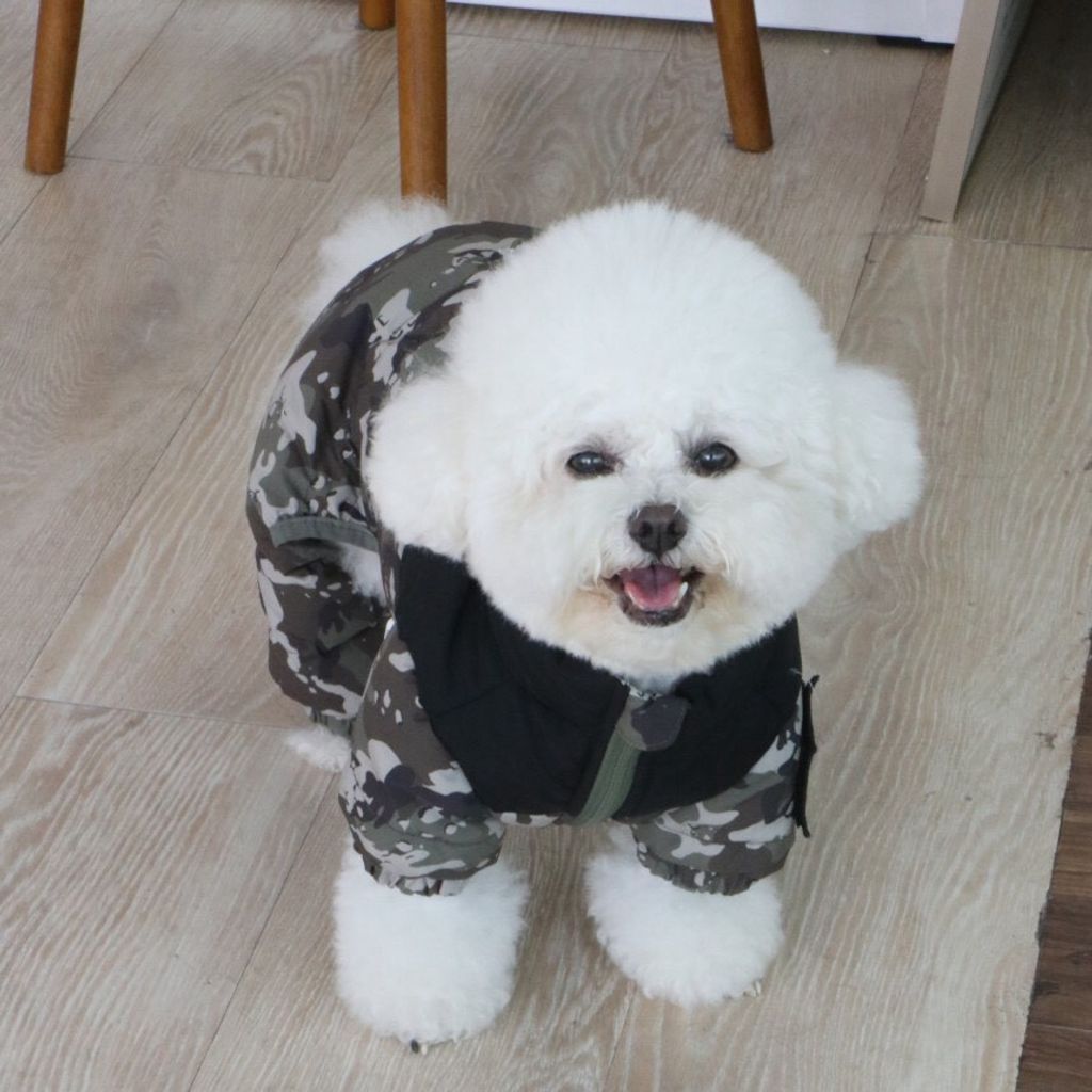 LINE_ALBUM_Doggyholic 3_251118_91