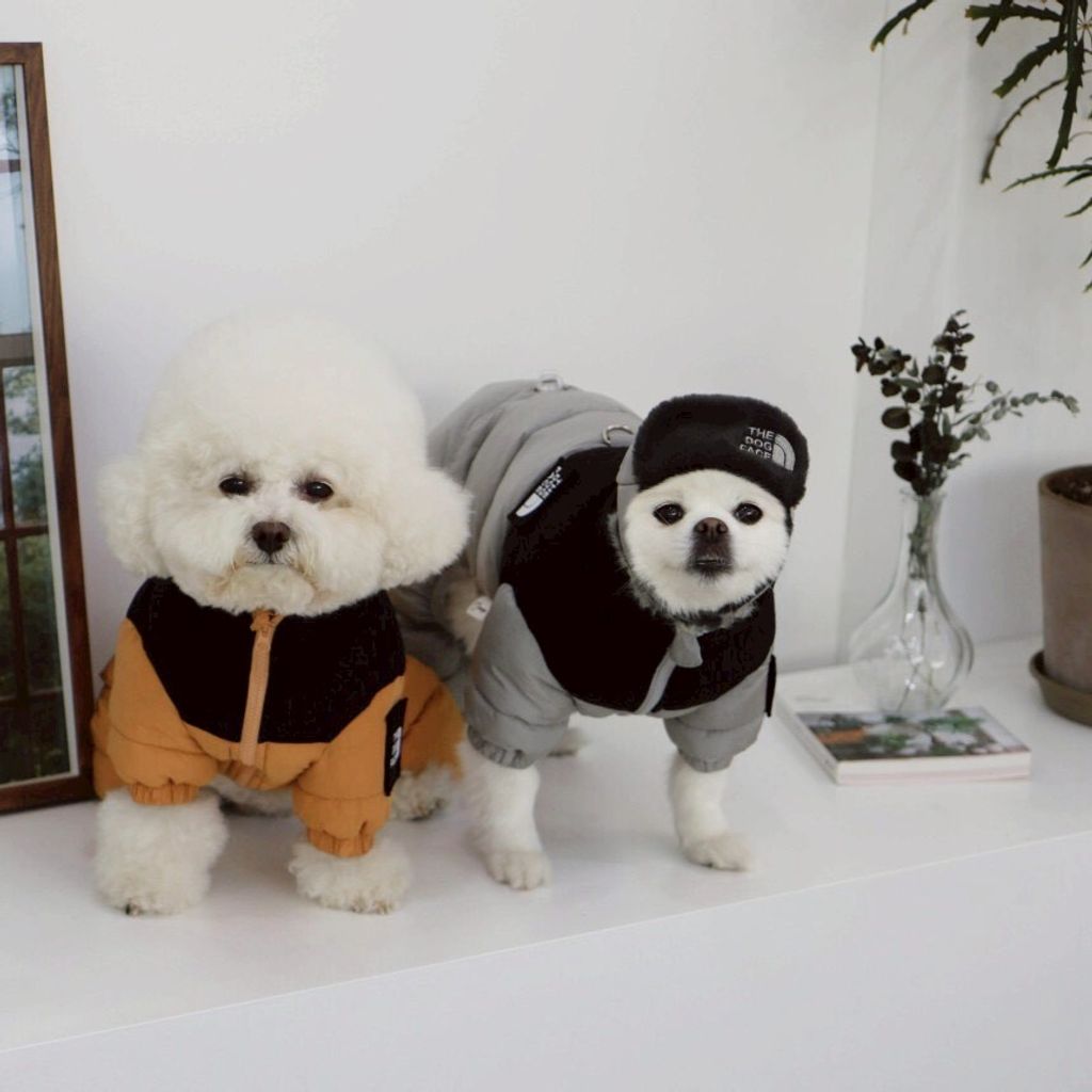 LINE_ALBUM_Doggyholic 3_251118_88