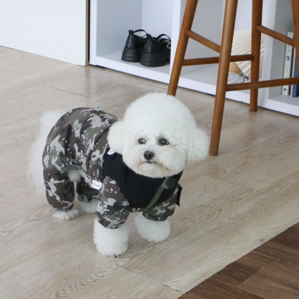 LINE_ALBUM_Doggyholic 3_251118_92