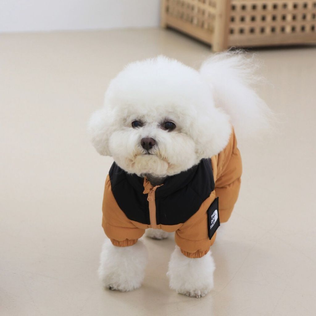 LINE_ALBUM_Doggyholic 3_251118_81